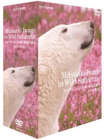 【】カメラマン岩合光昭 極北を撮る DVD-BOX
