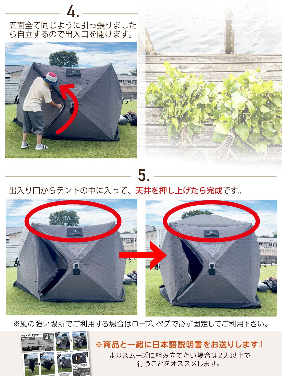 本体