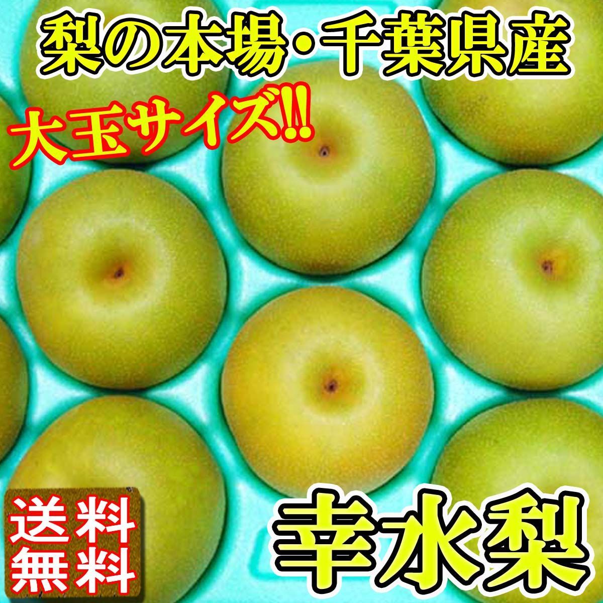 幸水梨 千葉産 梨 大玉10〜16玉 約5kg ナシ 送料無料 訳あり品 幸水梨 千葉産 梨 大玉10〜16玉 約5kg ナシ 送料無料 訳あり品