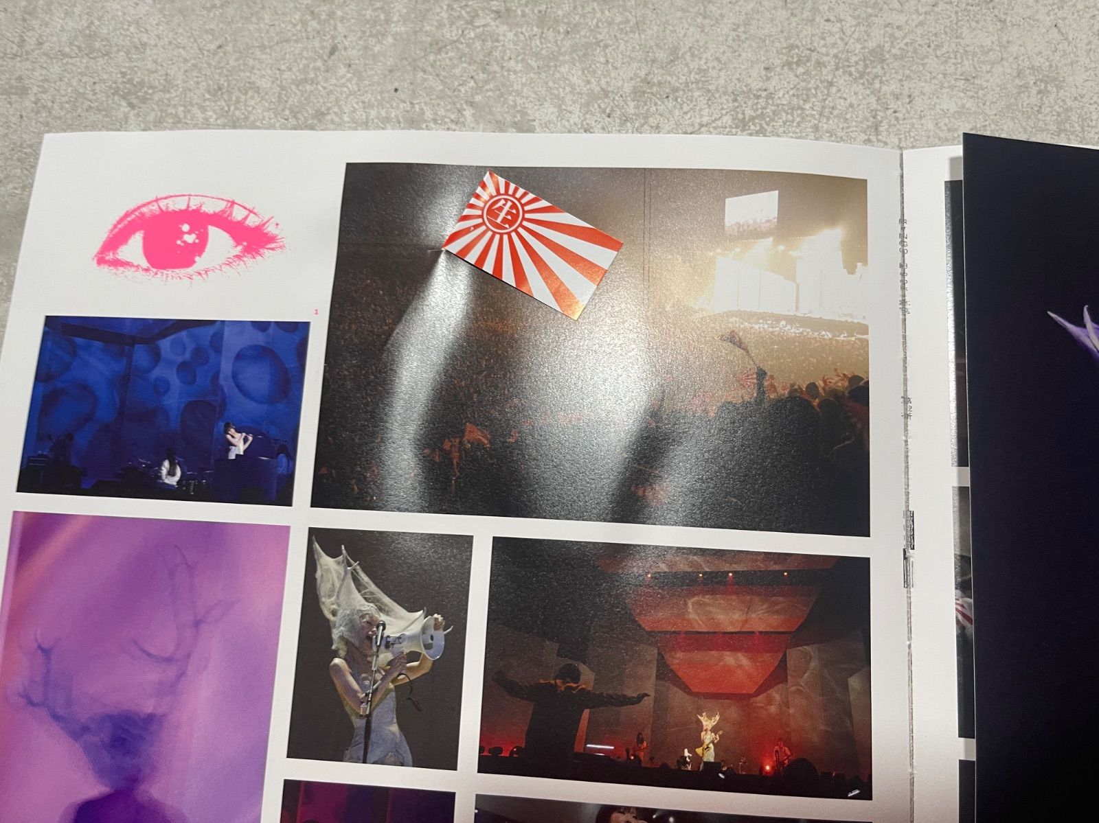 椎名林檎Sheena Ringo Book デビュー10周年限定パンフレット - メルカリ