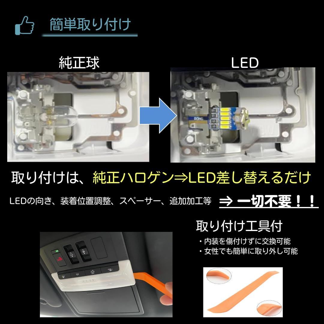 性 6000K