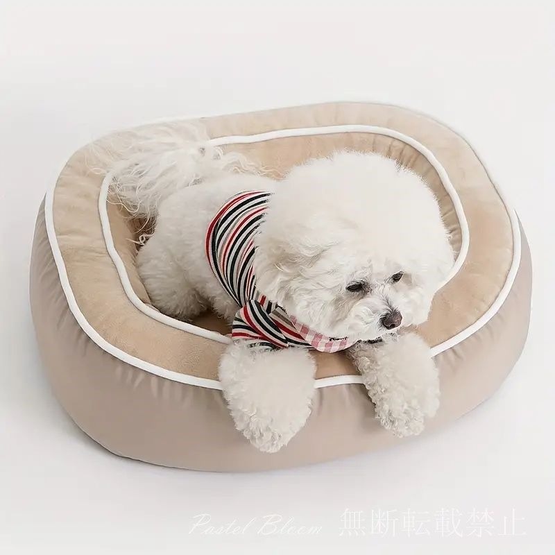 小型犬 中型犬