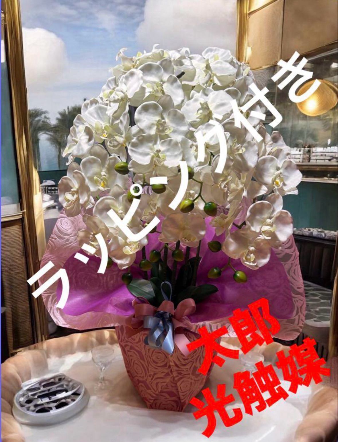 光触媒 人工観葉植物 ウォールグリーン フェイクグリーン 胡蝶蘭8047