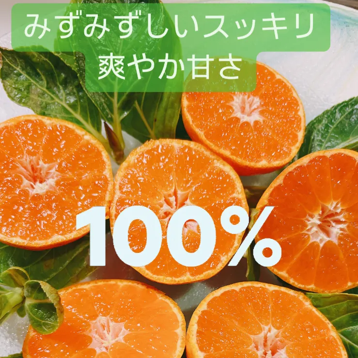 有田みかん🍊1kgＢ級品 3s〜Mサイズ甘いよ😋 味はA級品！！