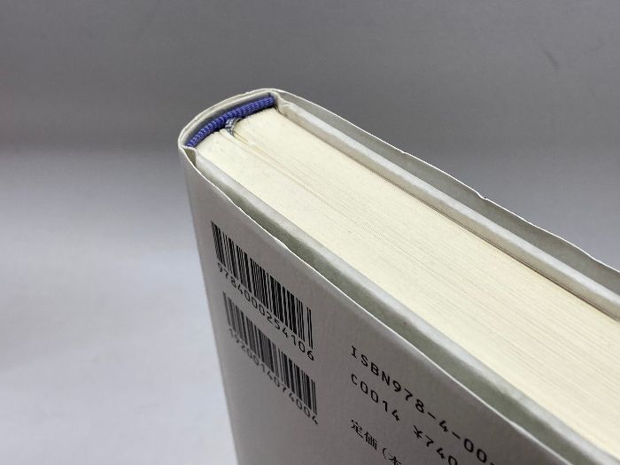 ユダヤの聖書解釈 スピノザと歴史批判の転回 岩波書店 手島 勲矢