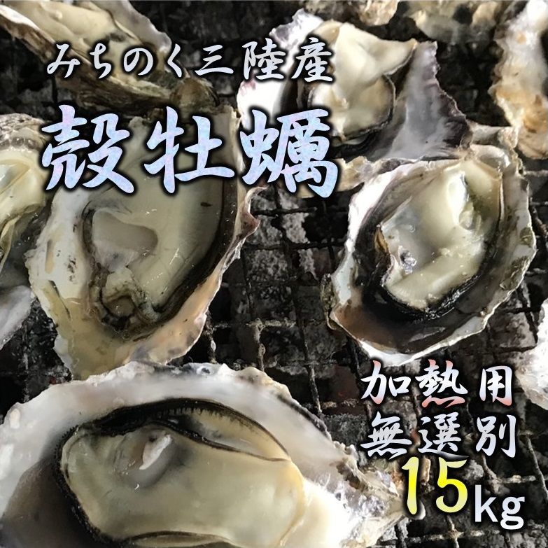 牡蠣 みちのく三陸産 殻付き牡蠣 15kg 産地直送 日持ち抜群 加熱用  亜鉛 ミネラル豊富 バーベキュー 鍋 カキフライ 焼く 揚げる 蒸す等 様々な調理に