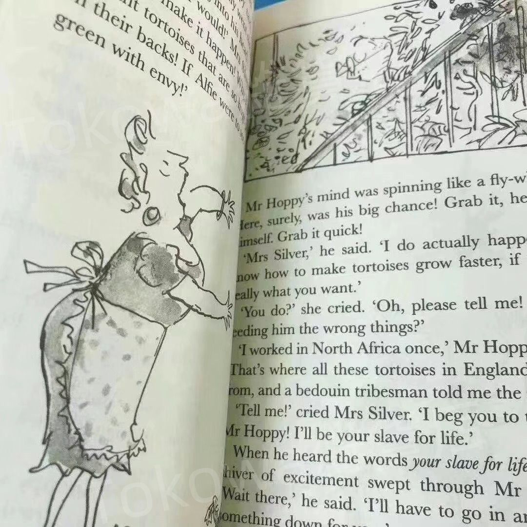 新品 Roald Dahl Collection 20冊 洋書 英語 - メルカリ
