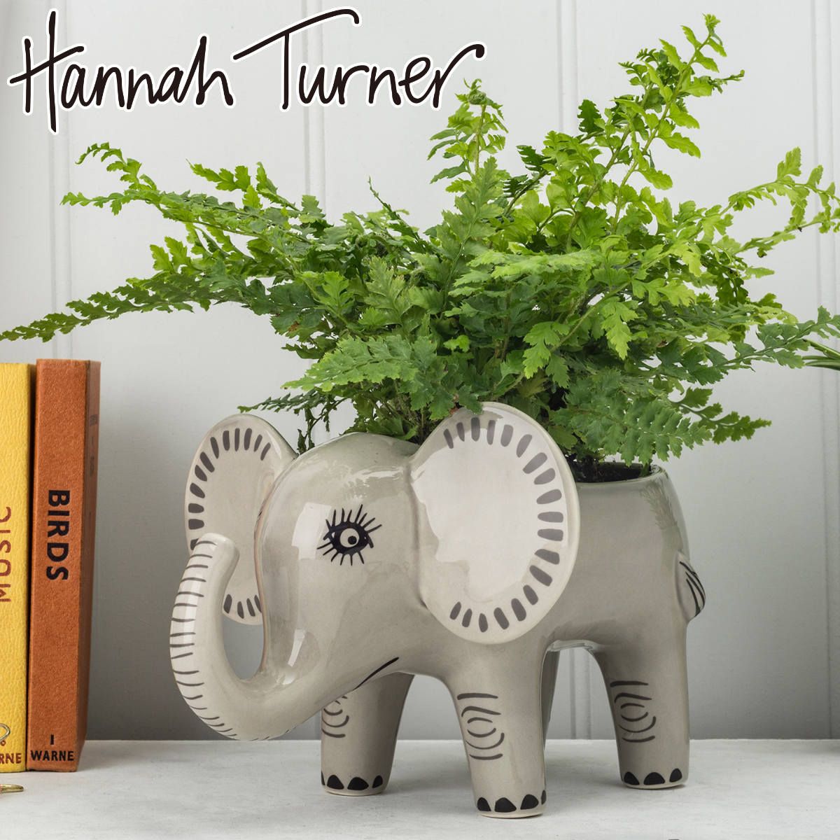 echidna fruit pot エアープランツ　プランター　苺 echidna fruit pot エアープランツ プランター 苺 echidna fruit pot