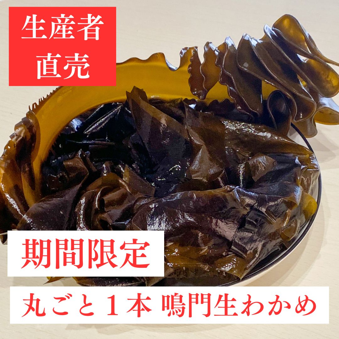 のサムネイル