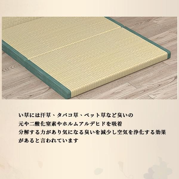 い草 冷感