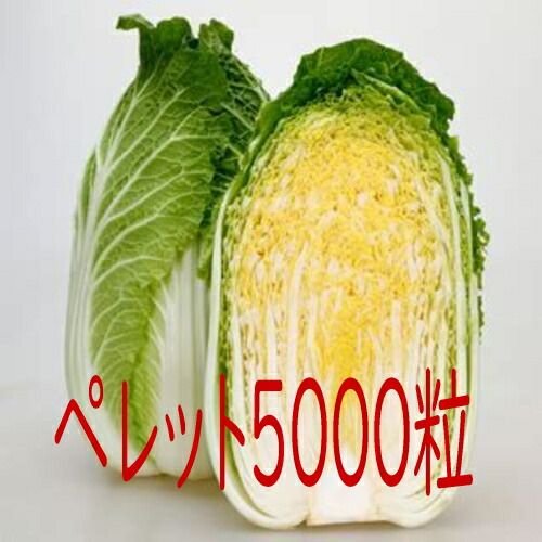 入荷次第出荷 カネコ種苗 ことぶき 白菜 ペレット５０００粒