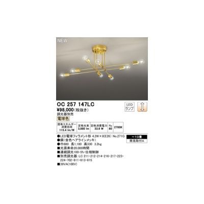 【新品・7営業日以内発送】オーデリック ODELIC OC257147LC ランプ別梱包【沖縄離島販売不可】