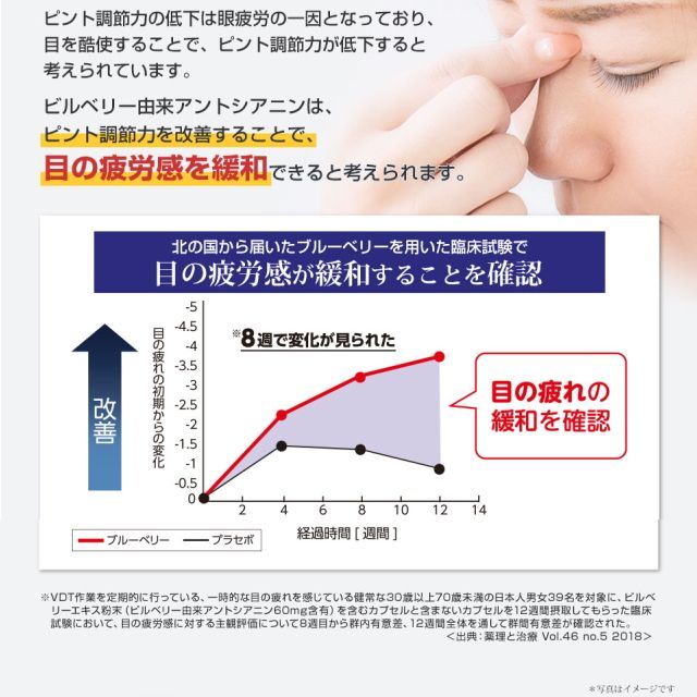 北の国から届いた ブルーベリー