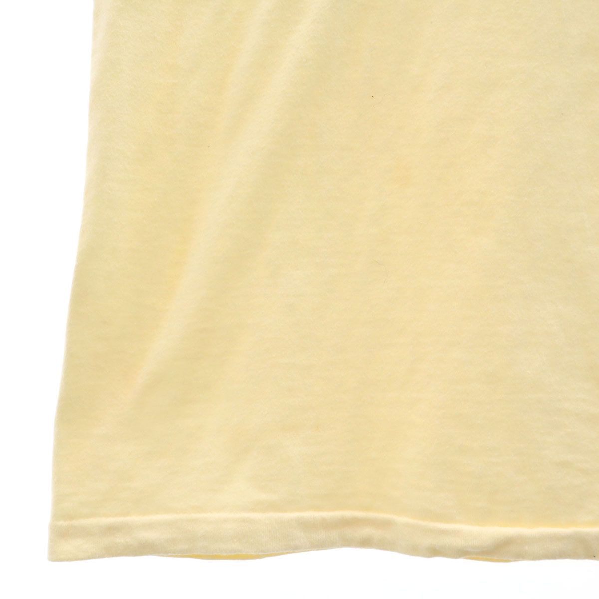 Hanes ヘインズ 80s 90s USA製 オールド SIERRA CLUB オラウータン 