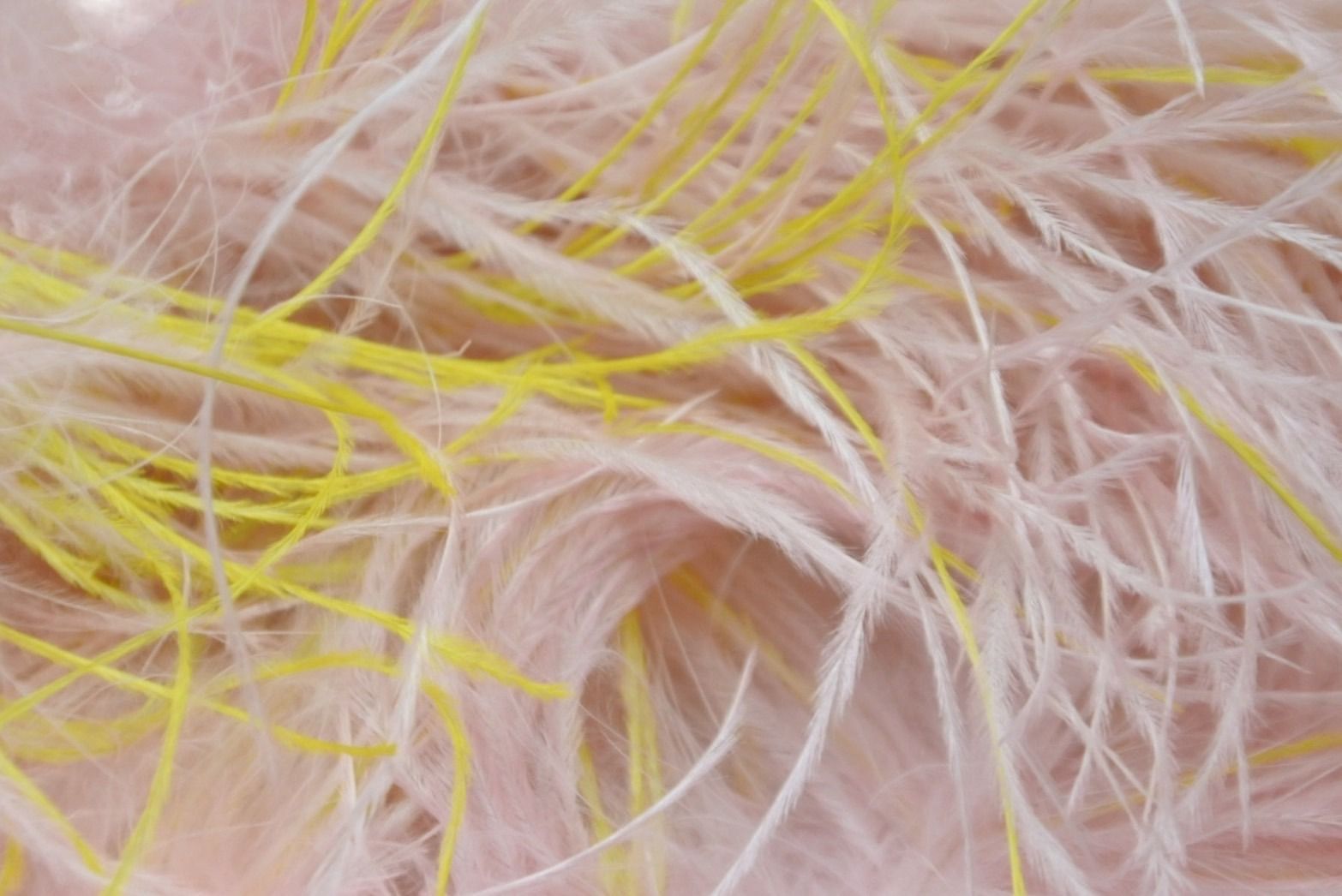 EMILIO PUCCI エミリオプッチ フェザーベルト マルチカラー ピンク