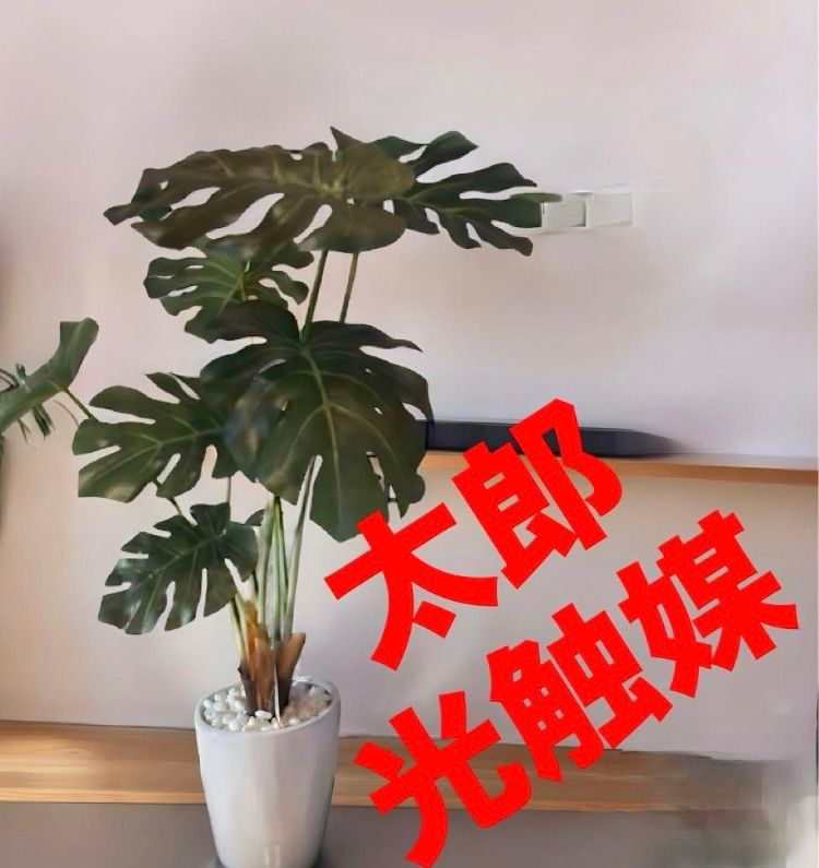 光触媒人工観葉植物ウォールグリーンフレッシュウンベラータ1.35m