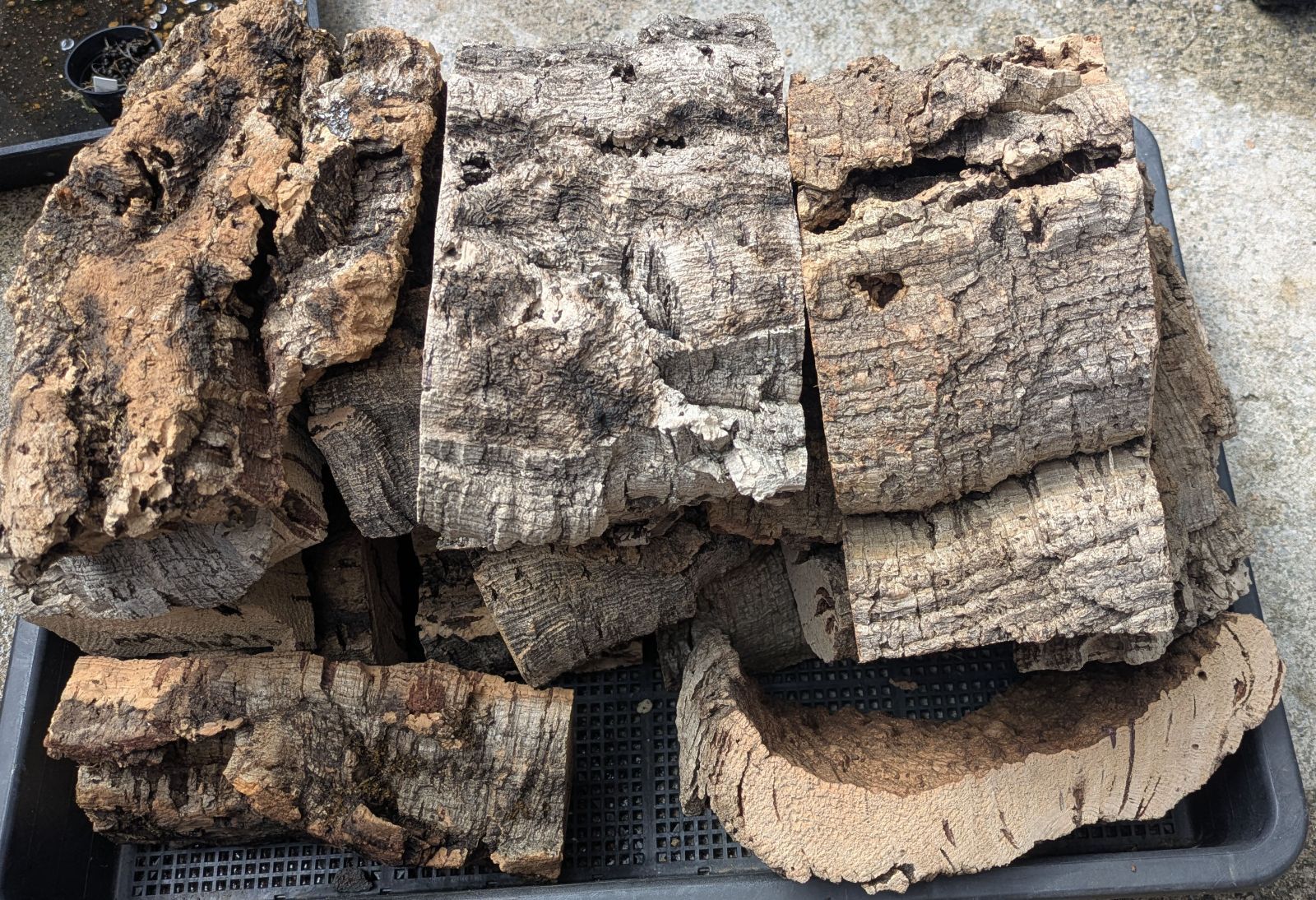 ポルトガル産 上質 コルク 3ｋｇ 樹皮 厚
