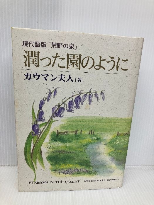 キャラクターグッズ ディズニークルーズ限定商品 ディズニー ヘイヘイ
