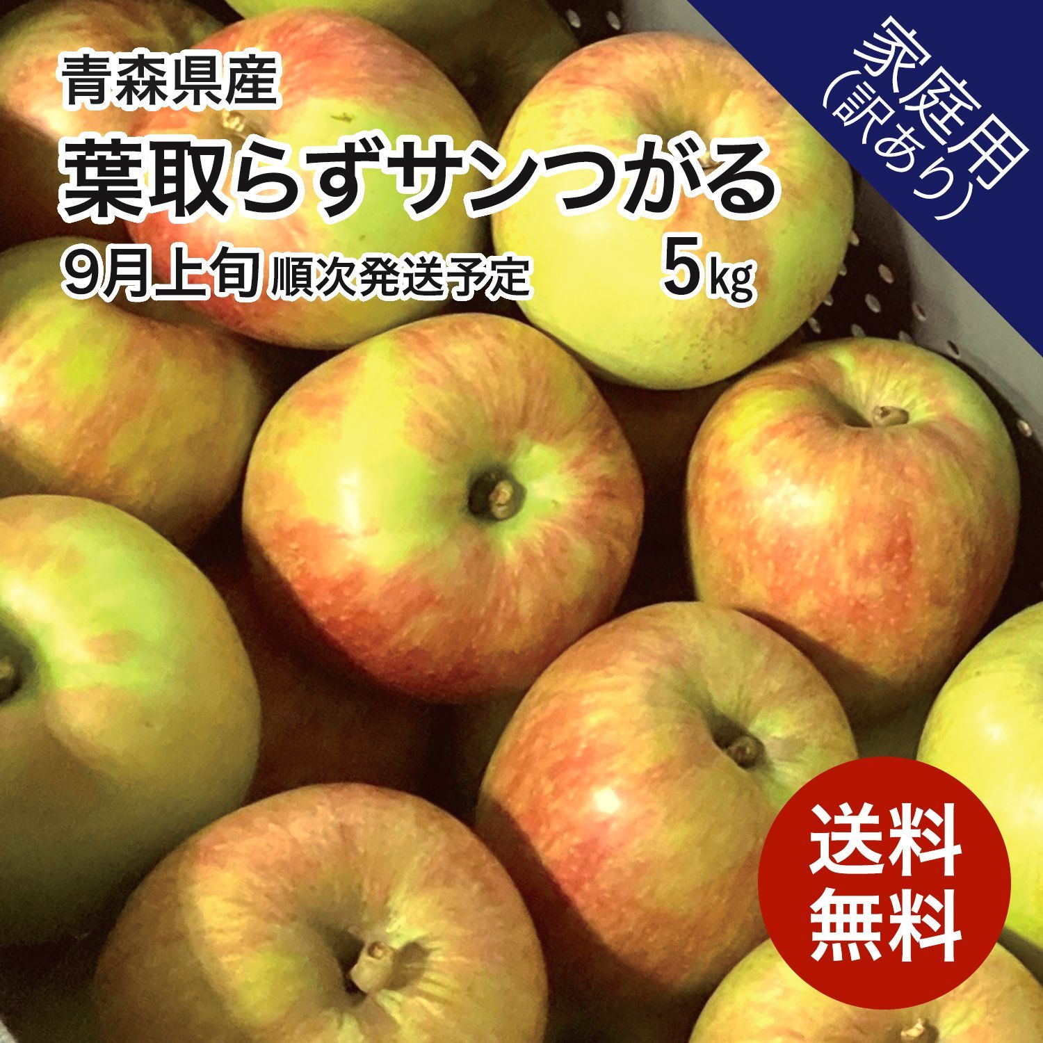 青森県産りんご 葉取らずサンつがる 5kg 訳あり 送料無料 産地