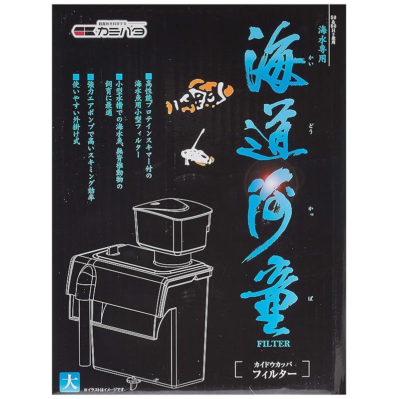 大 1