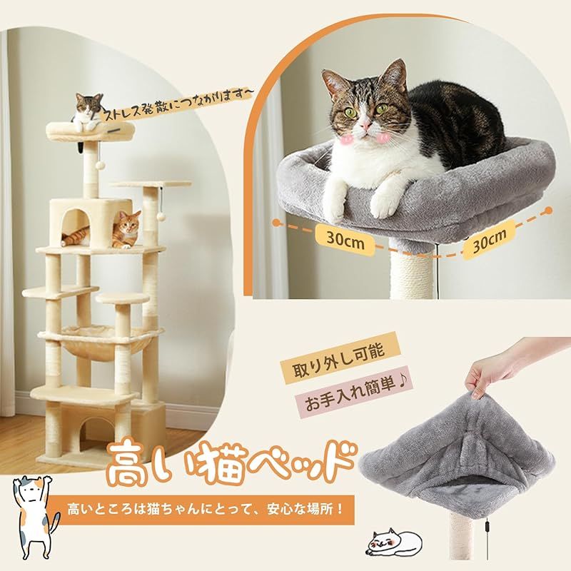 大型猫用