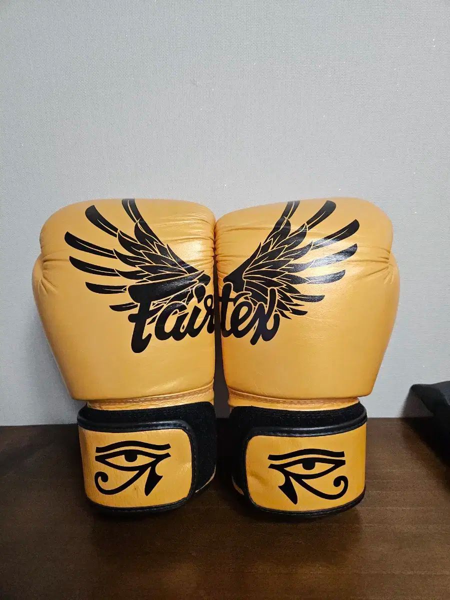 朝倉未来&海 直筆サイン入り パンチングミット&キックミット 2点セット 朝倉未来&海 直筆サイン入り パンチングミット&キックミット 2点セット