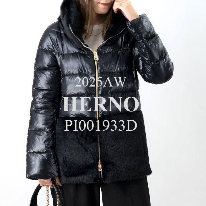 HERNO(ヘルノ) ダウンジャケット PI001933D - メルカリ