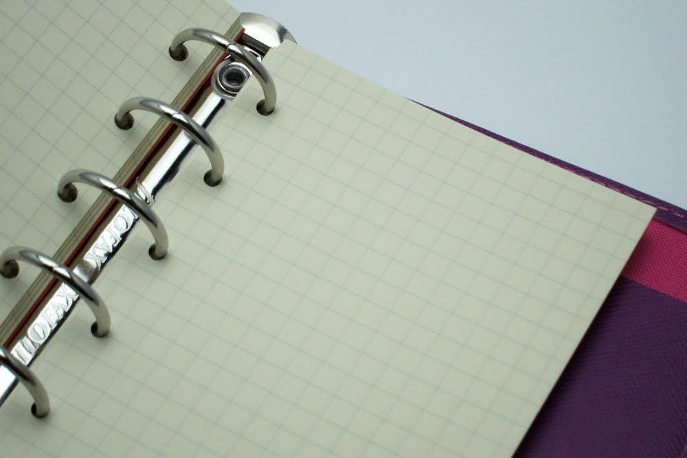 数量 ライフ ノーブル システム手帳 リフィル 方眼 ミニ R 200