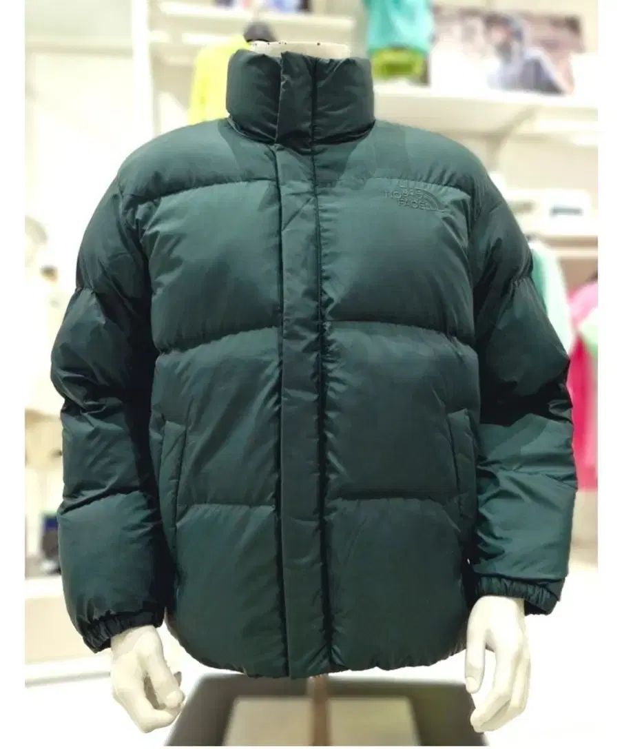 【雷市場（ポンジャン）商品韓国直送】 THE NORTH FACE(ザノースフェイス) 冬用パッド リバートン オンボール 100 （ L ） 未使用 新品