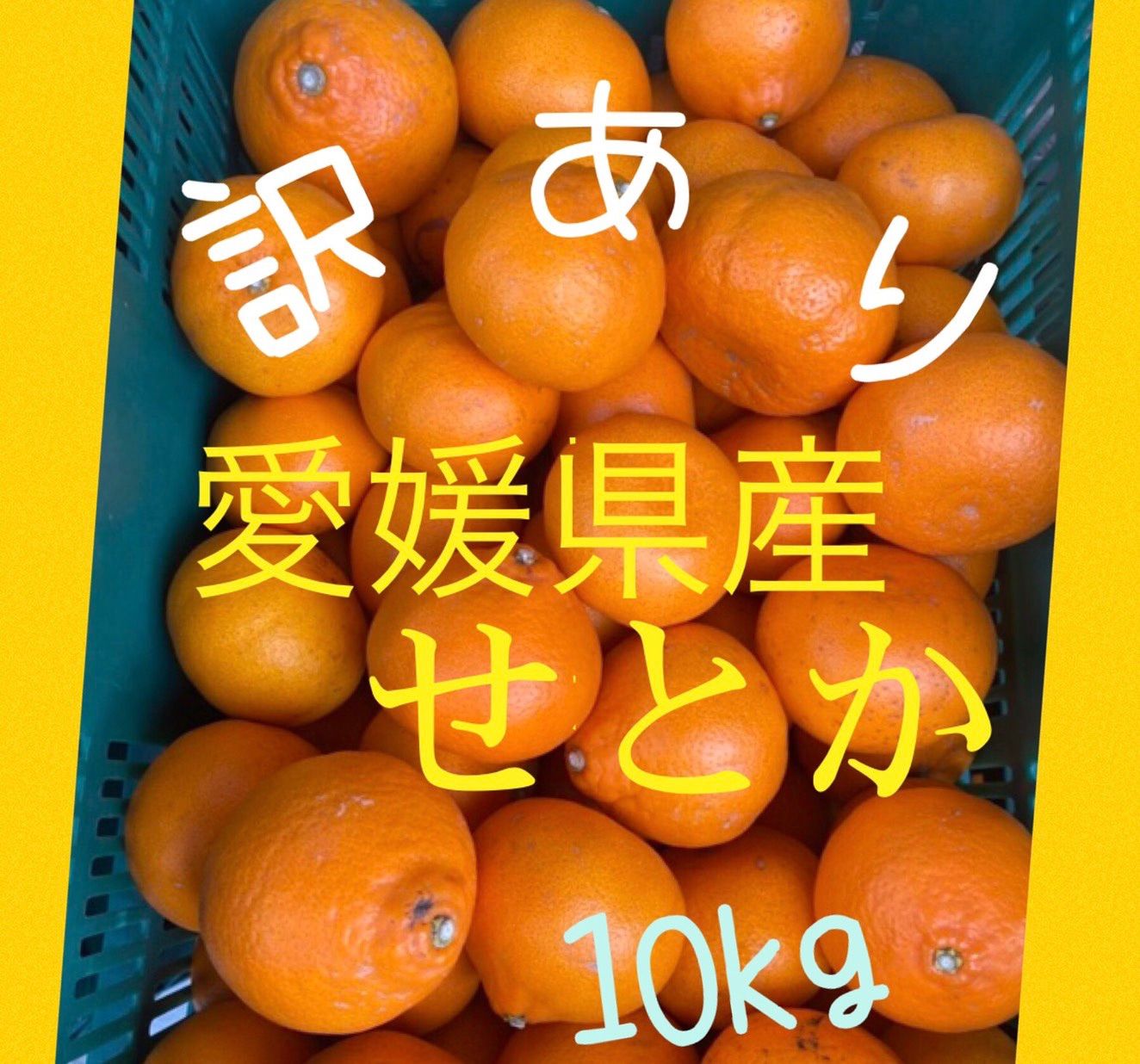 せとか訳あり10kg - 果物