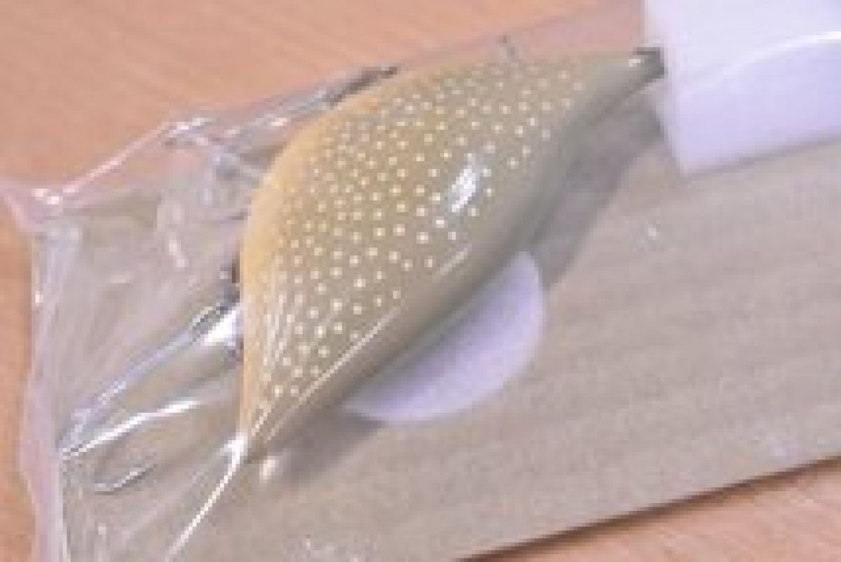 レイクトラウト バス