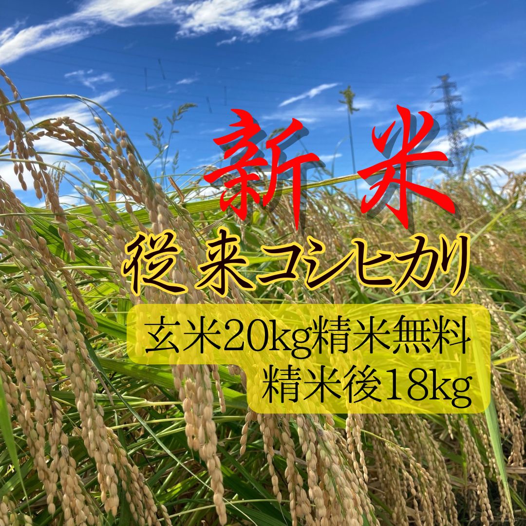 コシヒカリ・20キロ❣️特別 玄米・令和6年産 令和6年産 コシヒカリ 玄米20kg
