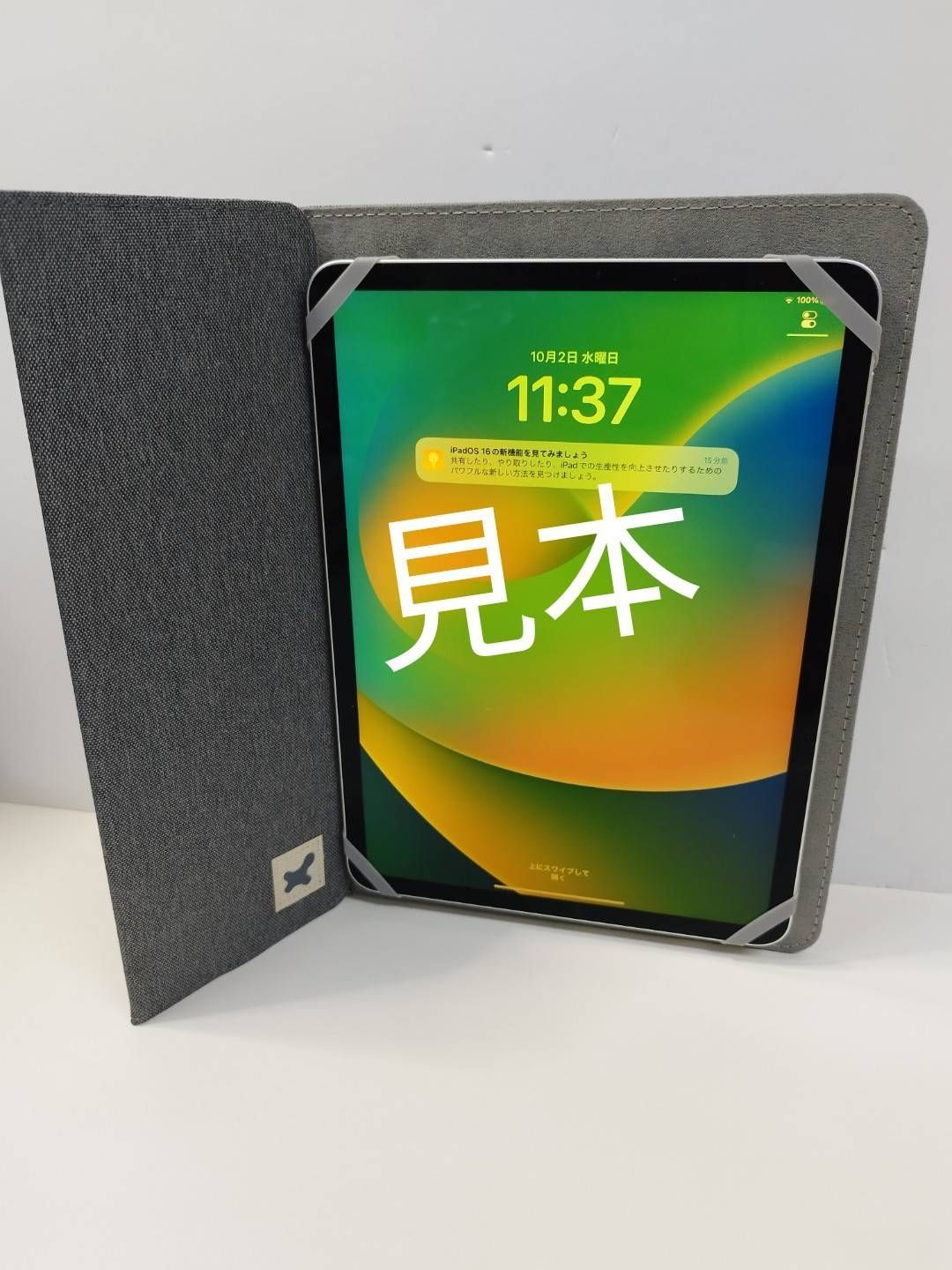 ② 11インチ iPad Pro 2018 wifi 256gb セット