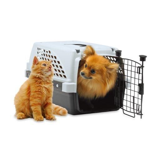 ファーストラックス ペットスイート S サイズ アウトドア 防災 ハードタイプ ペットキャリー