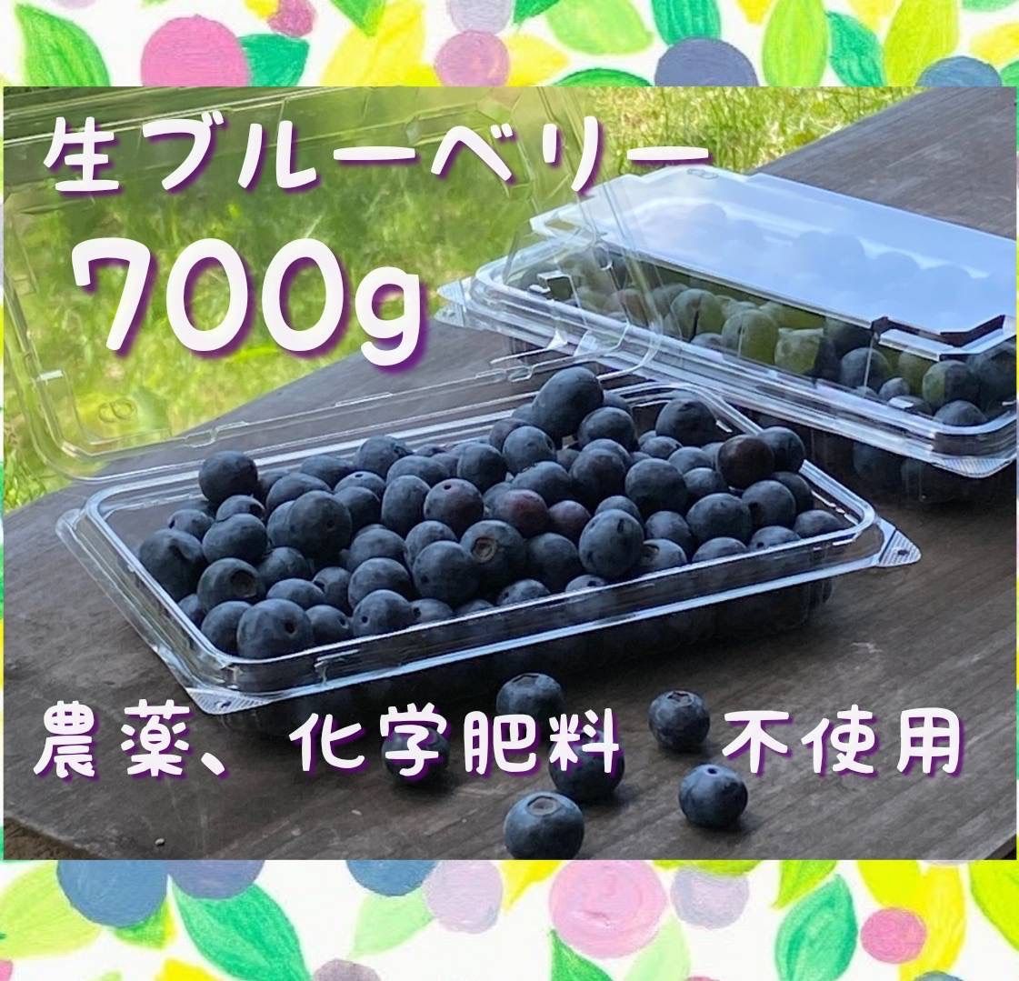 ５【農薬・化学肥料不使用】生 ブルーベリー 700g - ちいファーム