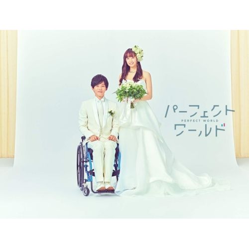 BD | TVドラマ | パーフェクトワールド Blu-ray BOX Blu-ray 本編Blu-ray3枚 特典DVD2枚