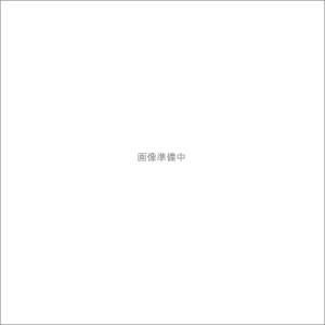 【新品・5営業日で発送】リペア バックステップ マフラーマウントASSY 153GARAGE 15311002-R07 GB350 21-22