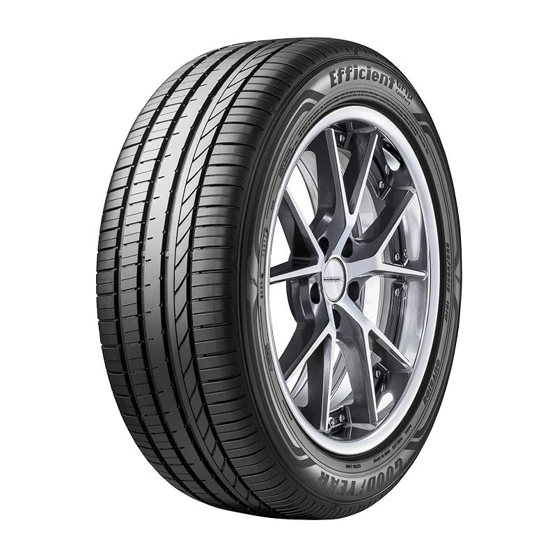 195/65R15 91H GOODYEAR グッドイヤー EFFICIENT GRIP ECO EG01 24年製