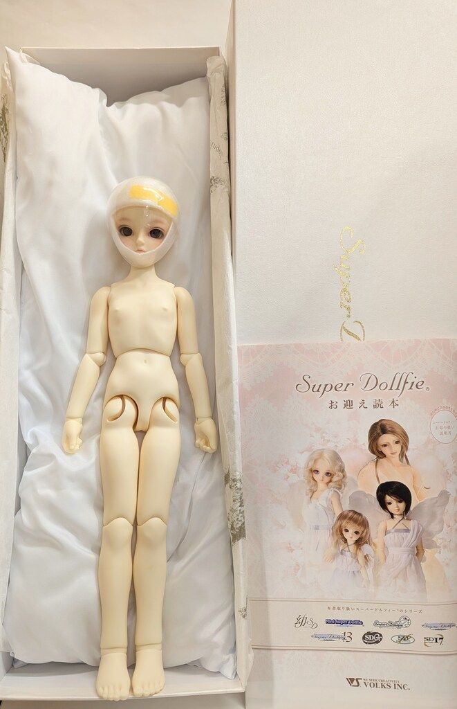 ボークス MSD女の子 フルチョイス F-31 ホワイト肌