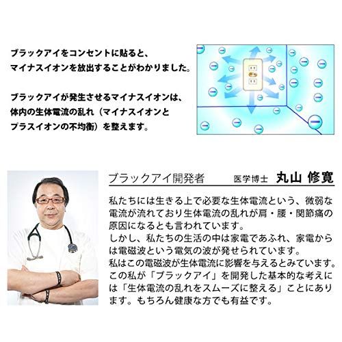 丸山式コイルブラックアイ 100個セット