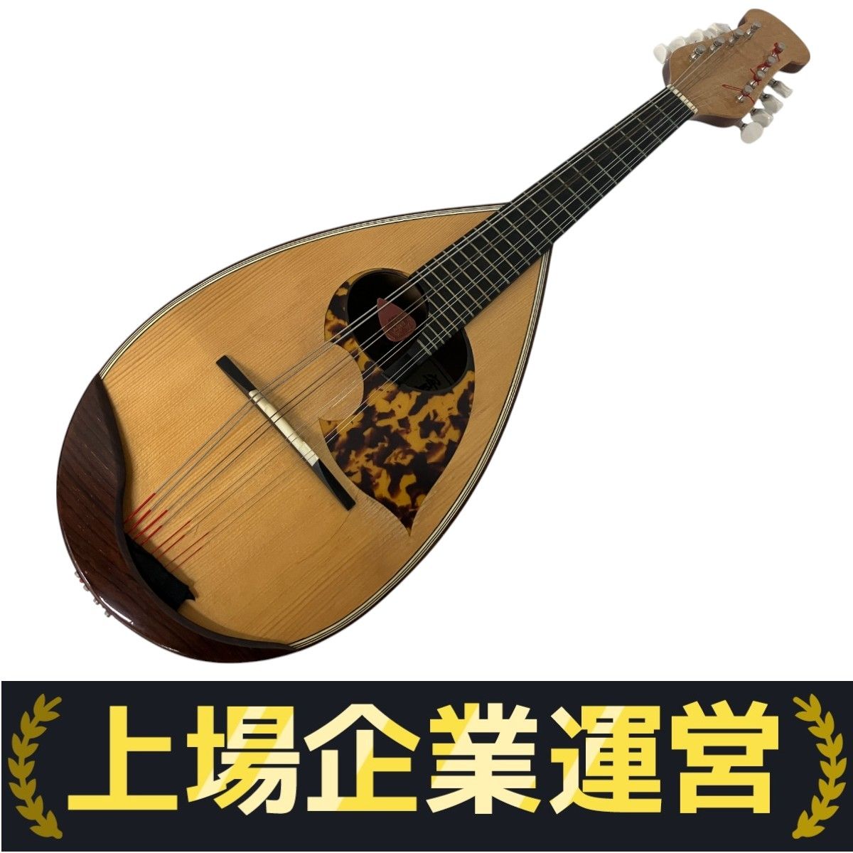 野口實　マンドリン　マンドラ 弦楽器　1996年製　ハードケース 野口實 マンドリン マンドラ 弦楽器 1996年製 ハードケース - 弦楽器