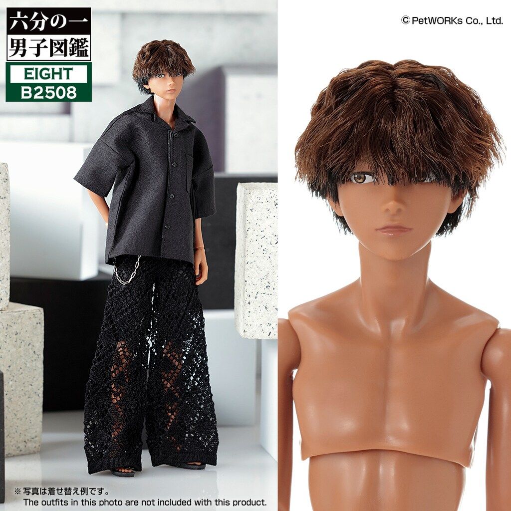 ☆新品☆ ペットワークス 六分の一男子図鑑 エイト B2508 - メルカリ