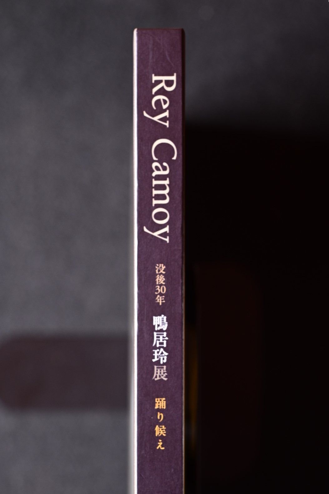 【中古】 踊り候え/風来舎/鴨居玲 2025年最新】鴨居玲の人気アイテム - メルカリ
