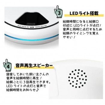 ホワイト