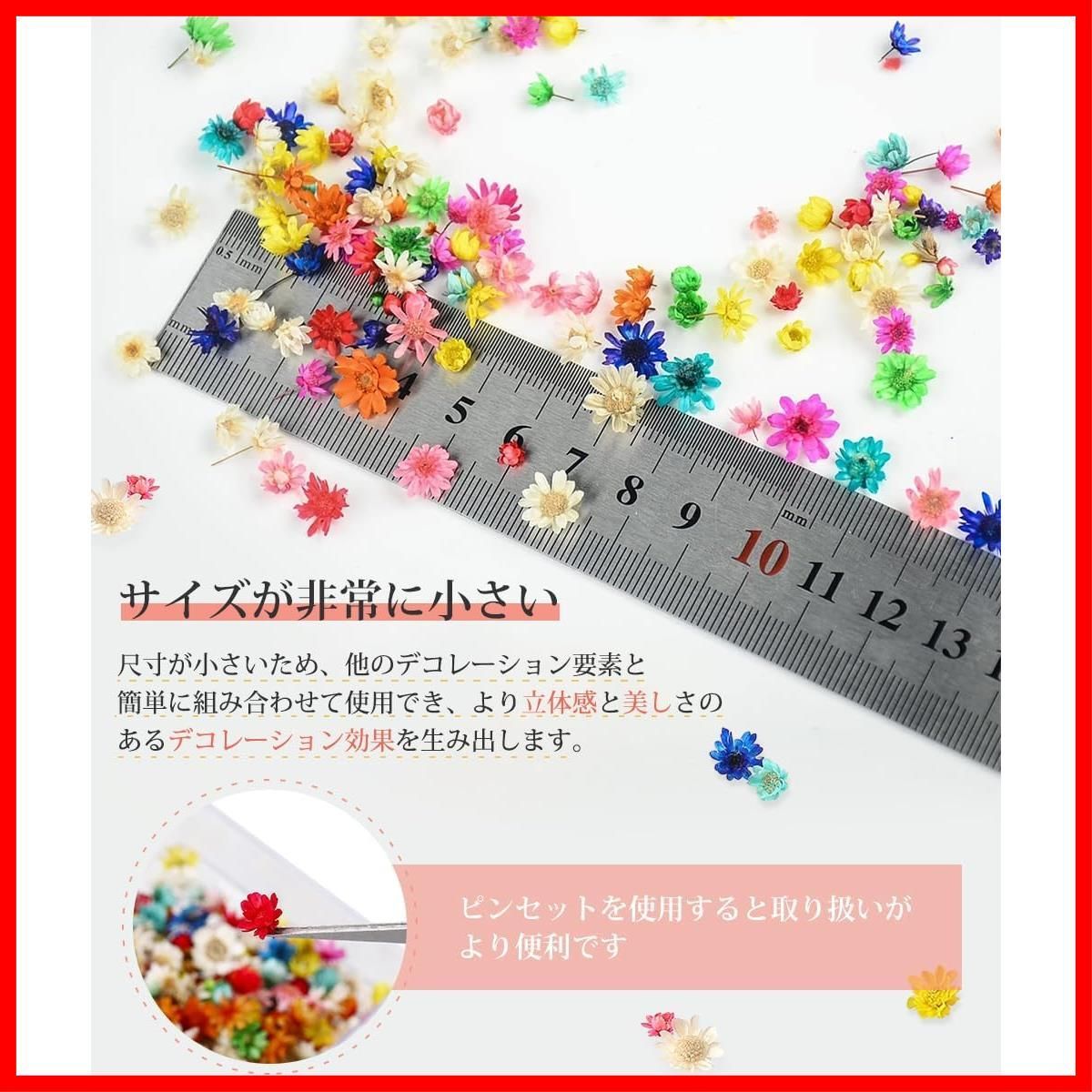 クラフト 手芸 素材 DIY ペンダント ネイル おしゃれ 材 押し花 花