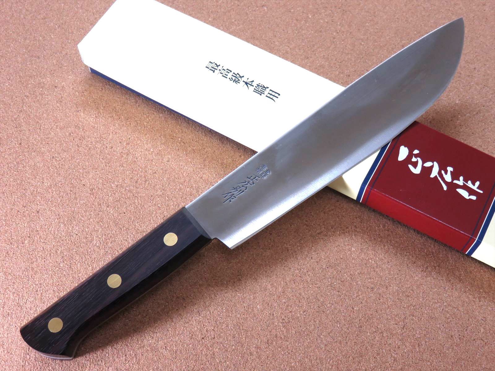 中型魚