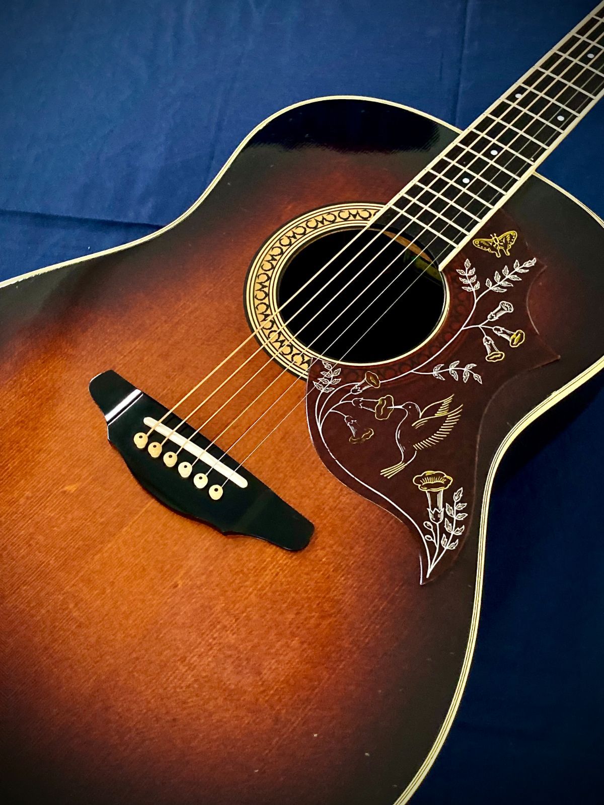 モーリス トルネード GXD 1984 スプルース単板モデル Gseries - メルカリ