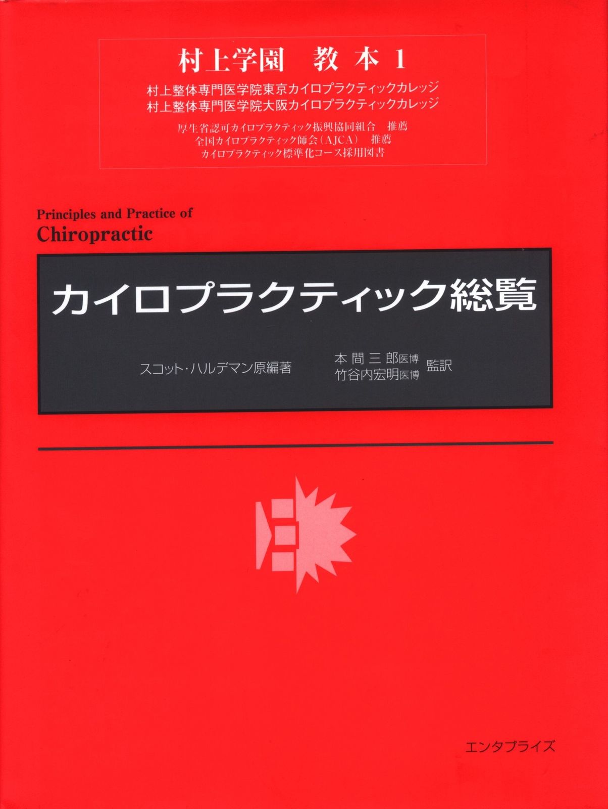 カイロプラクティック総覧&テクニック総覧 2冊セット カイロ