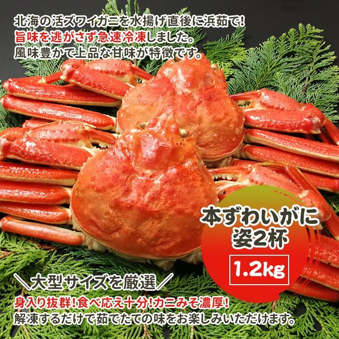 約600g×