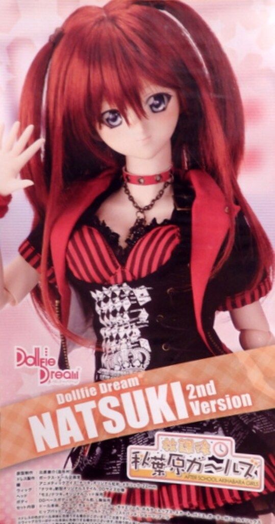 新品未開封】DDS ナナミ 放課後秋葉原ガールズ 放課後秋葉原ガールズ